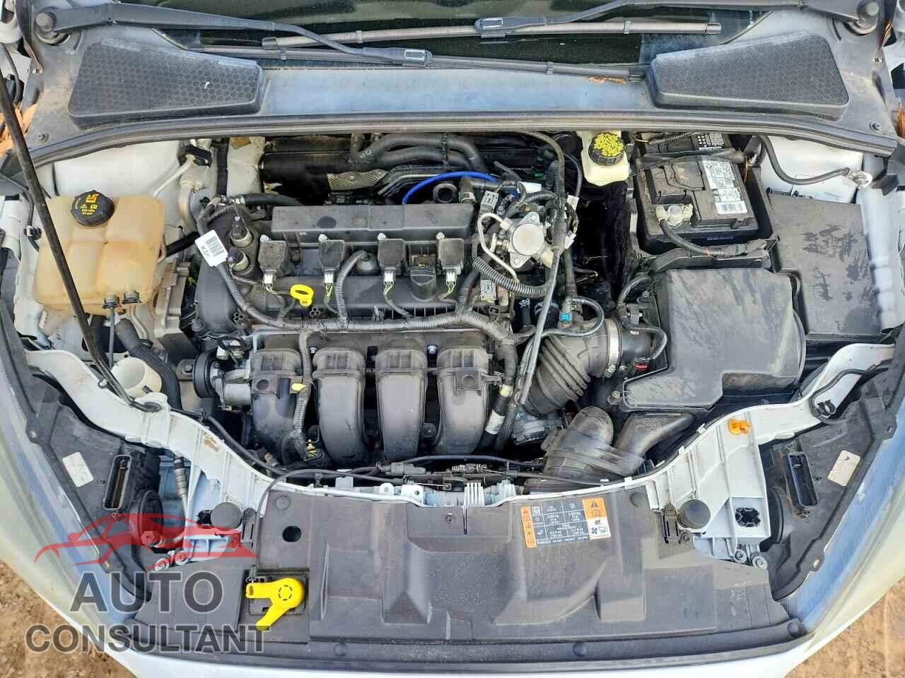 FORD FOCUS 2017 - 1FADP3H29HL202033