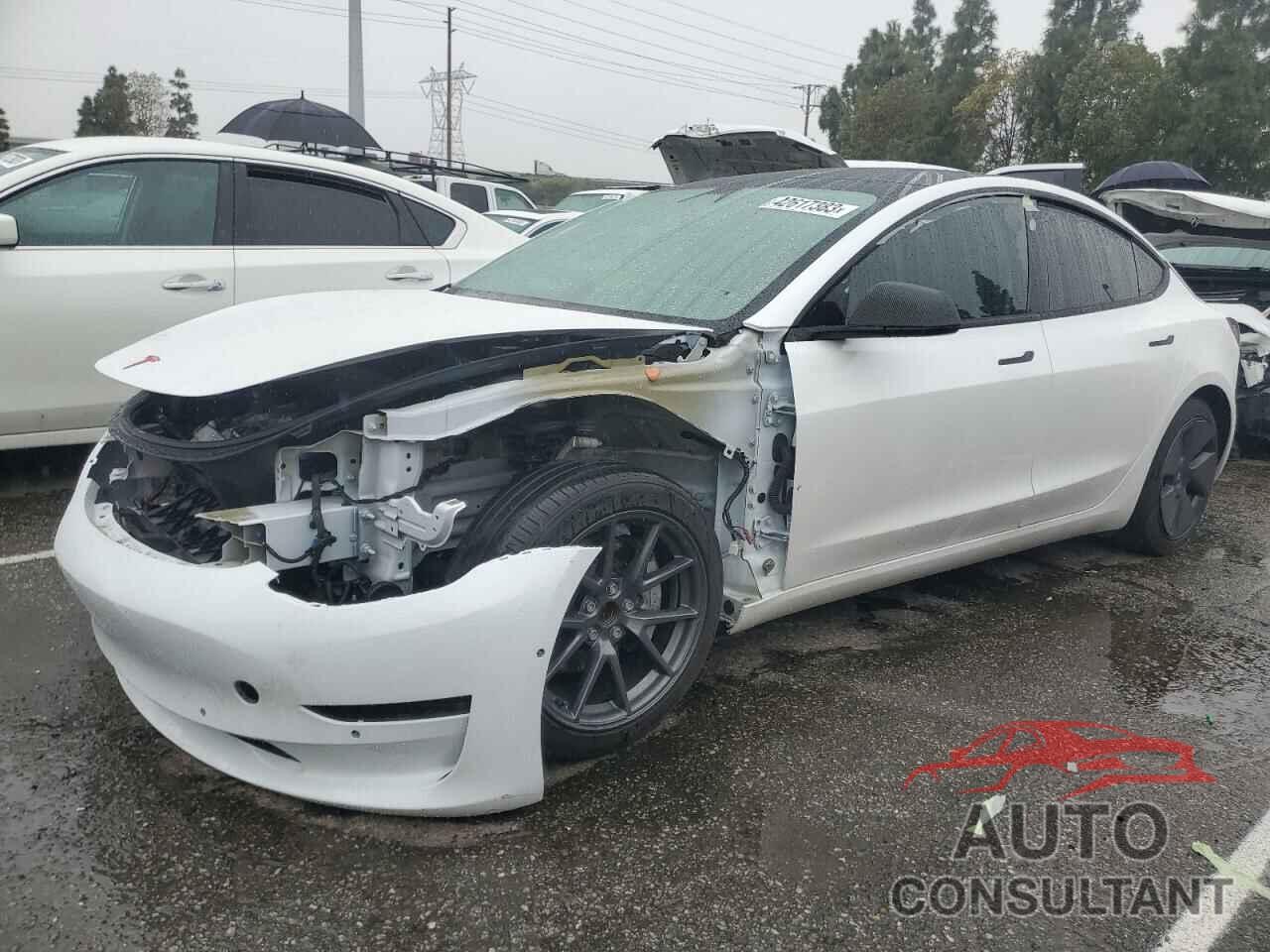 TESLA MODEL 3 2021 - 5YJ3E1EA7MF074691