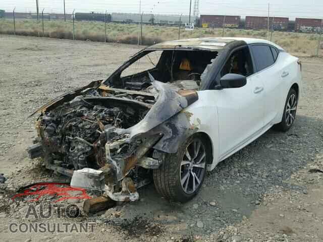 NISSAN MAXIMA 2017 - 1N4AA6AP5HC372353