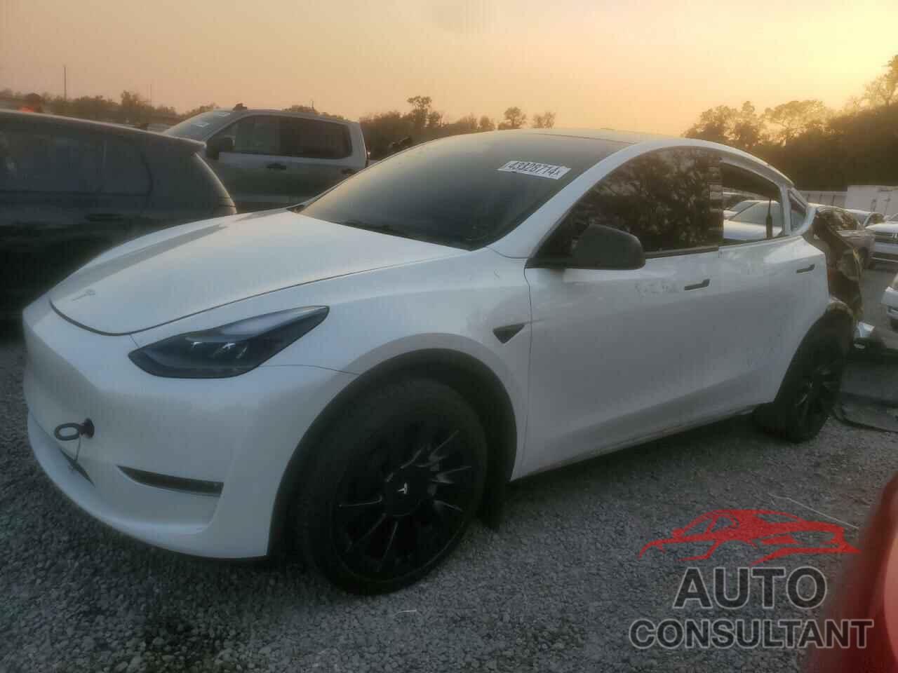 TESLA MODEL Y 2022 - 7SAYGDEE9NF544700