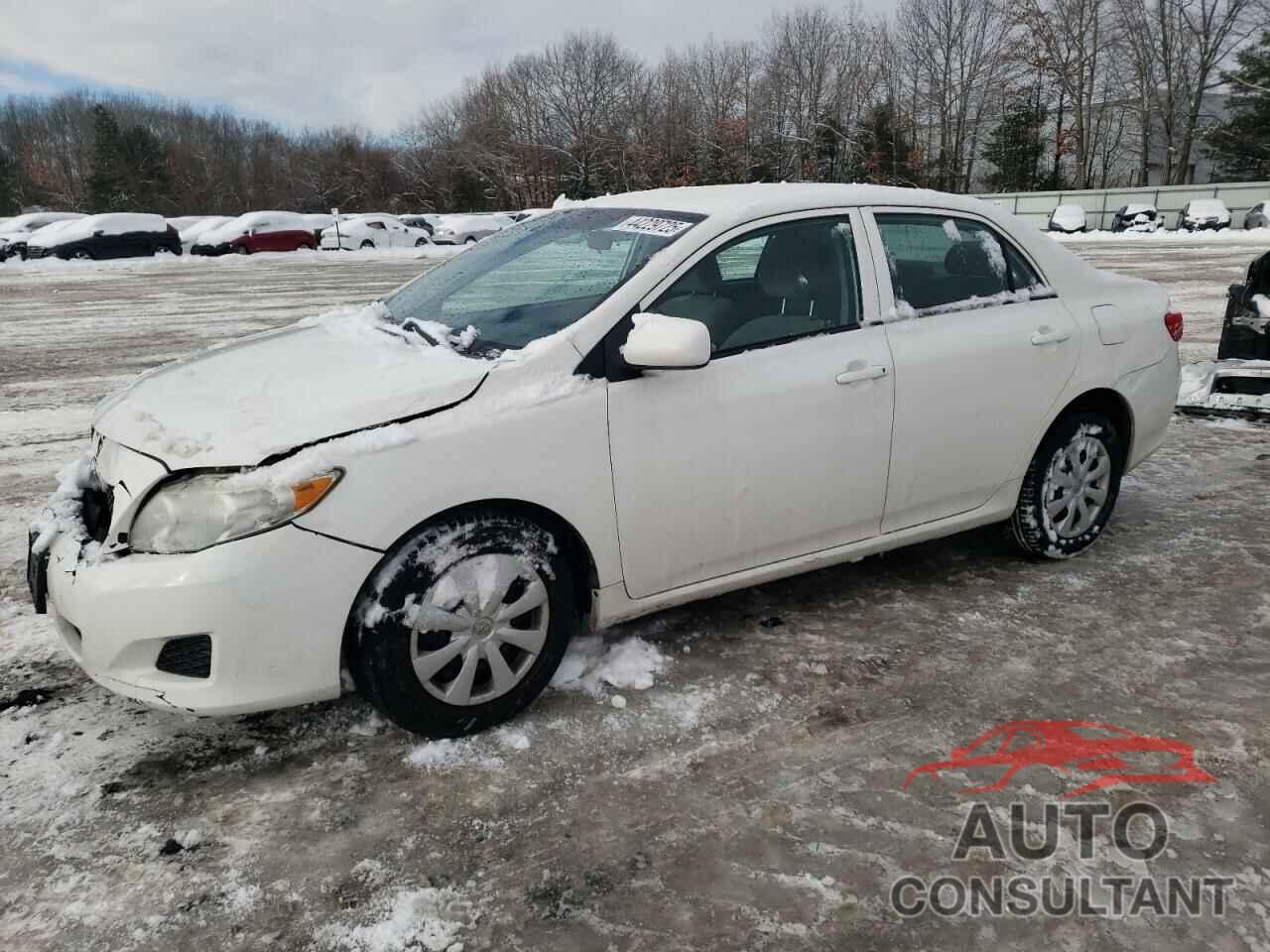 TOYOTA COROLLA 2010 - 2T1BU4EE5AC503913