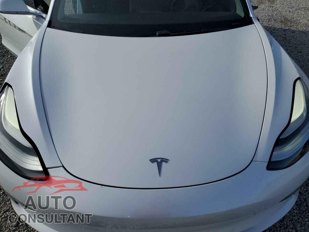 TESLA MODEL 3 2019 - 5YJ3E1EA0KF476503