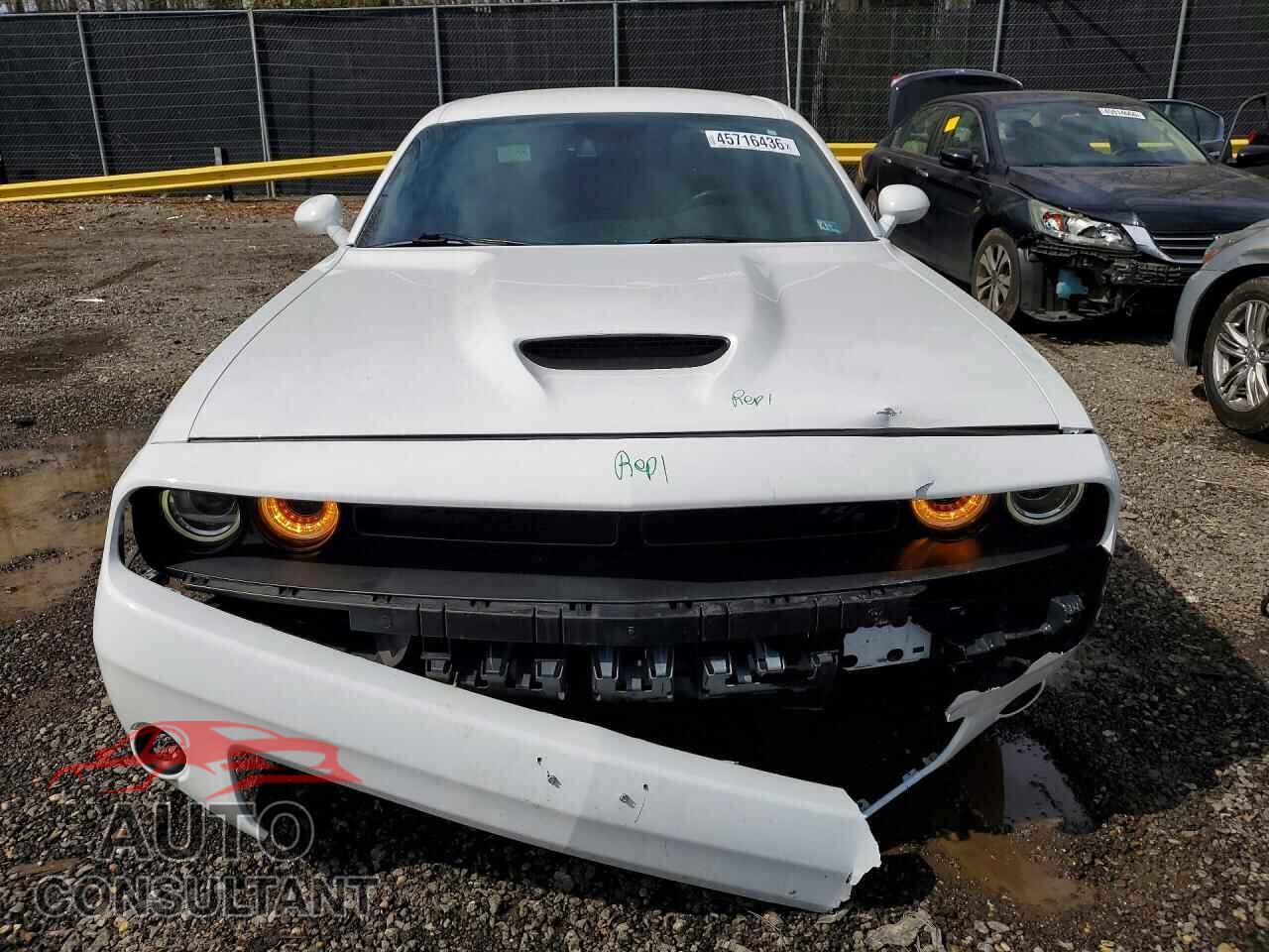DODGE CHALLENGER 2019 - 2C3CDZBT8KH583272