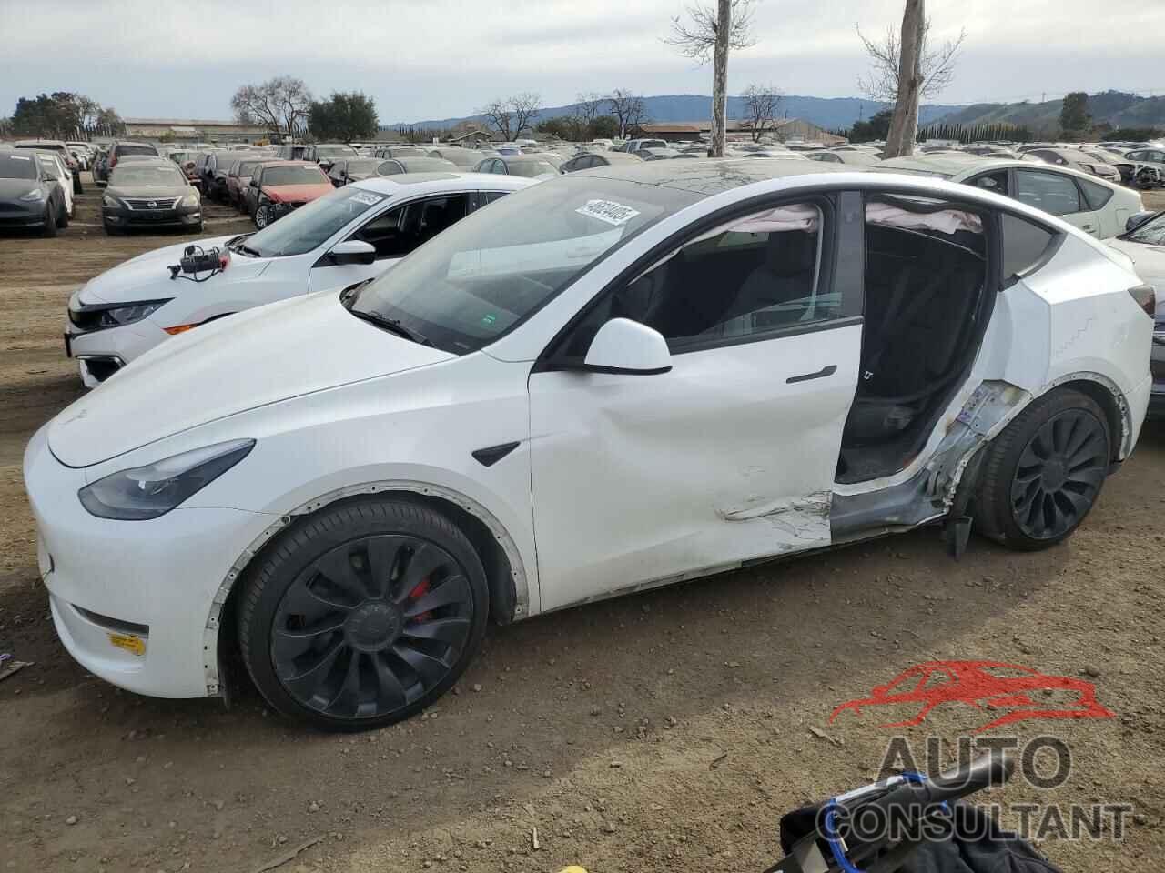 TESLA MODEL Y 2022 - 7SAYGDEF8NF455421