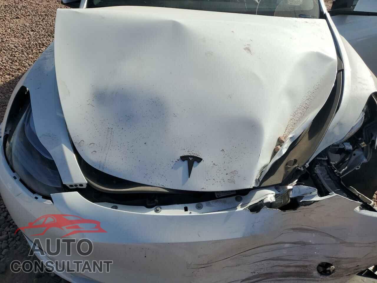 TESLA MODEL Y 2024 - 7SAYGDED1RF202154