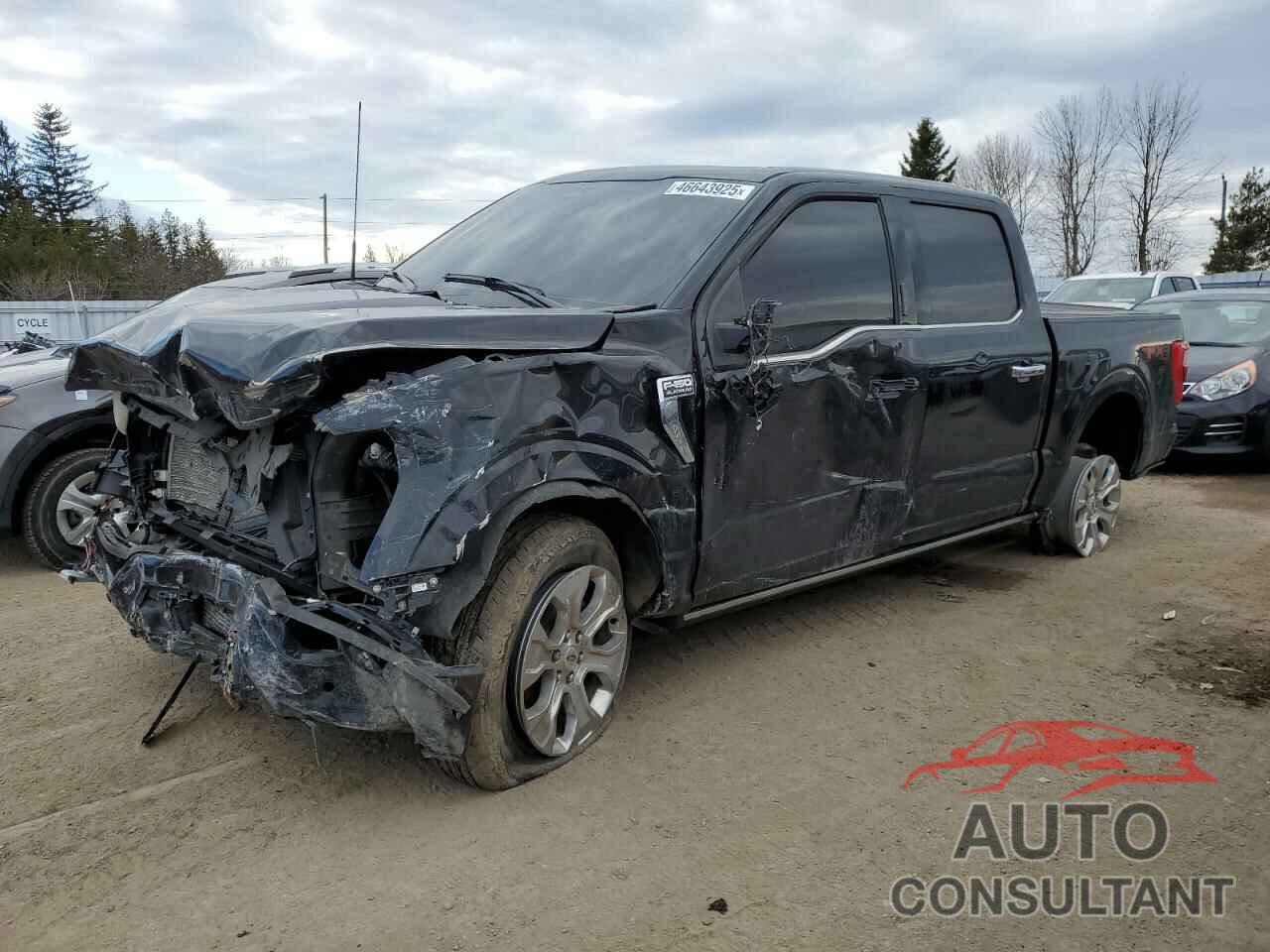 FORD F-150 2023 - 1FTFW1E8XPFC94396