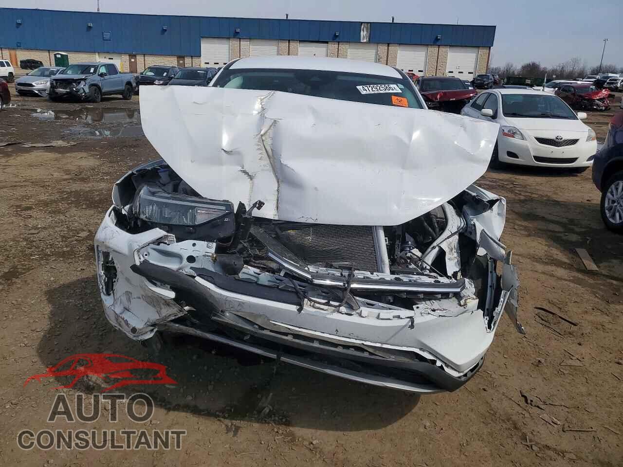 FORD ESCAPE 2024 - 1FMCU9GN9RUA39761