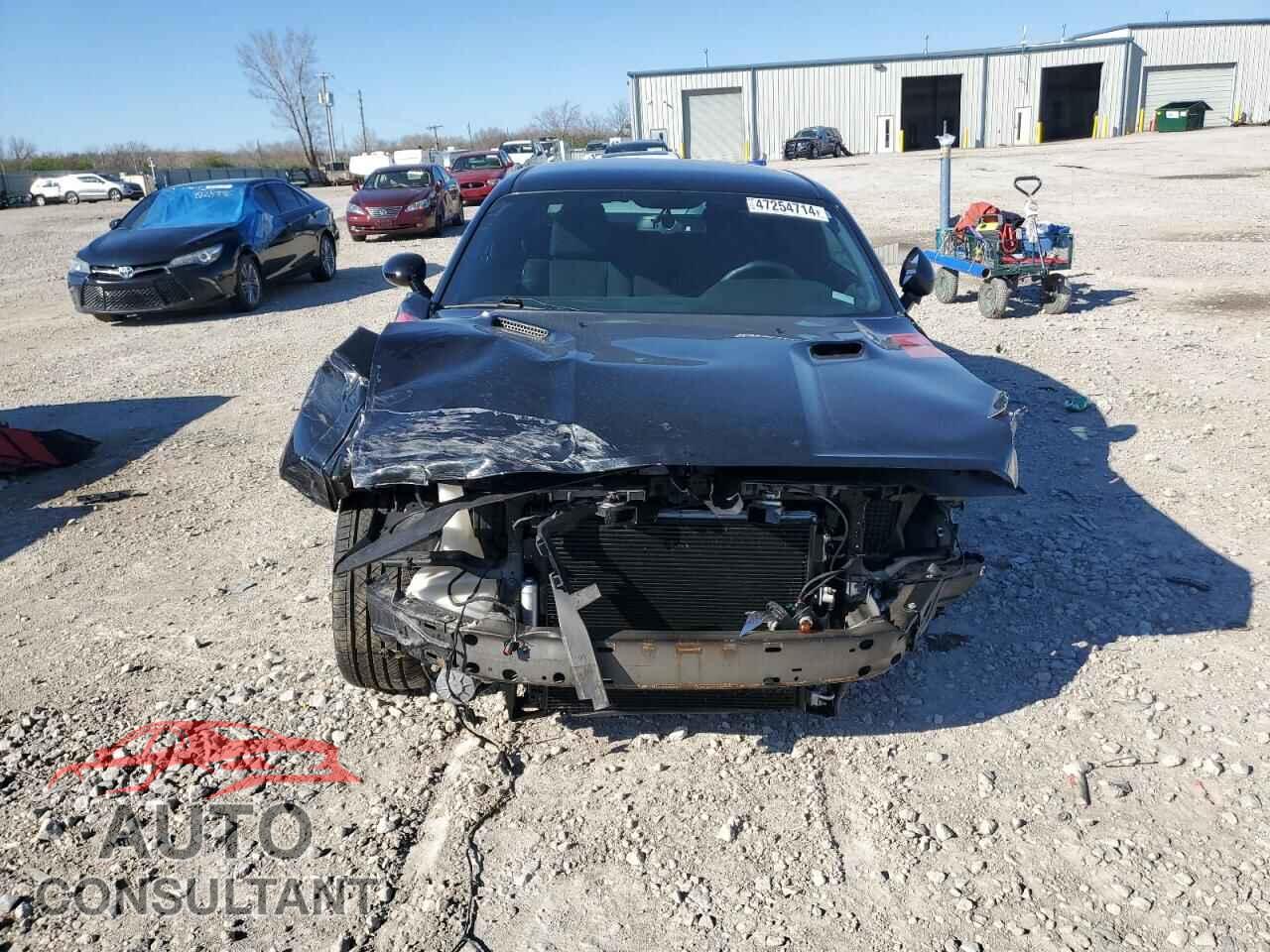 DODGE CHALLENGER 2013 - 2C3CDYBTXDH641783