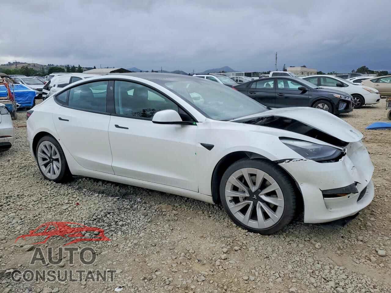 TESLA MODEL 3 2021 - 5YJ3E1EA4MF998439