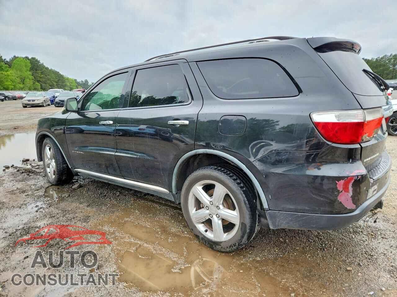 DODGE DURANGO 2011 - 1D4RD5GGXBC676892