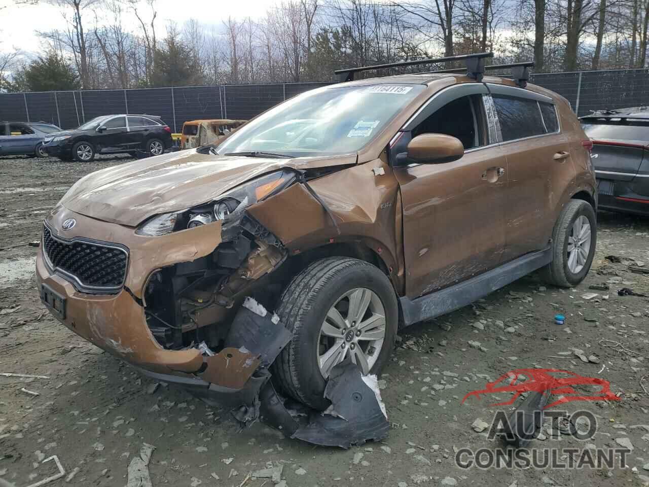 KIA SPORTAGE 2017 - KNDPMCAC7H7291029