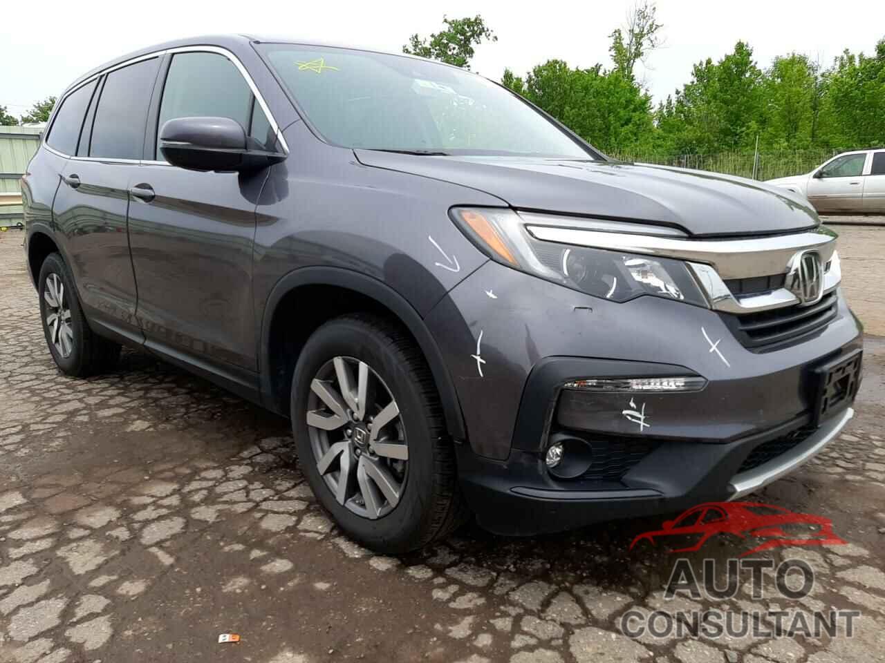 HONDA PILOT 2019 - 5FNYF6H51KB061625