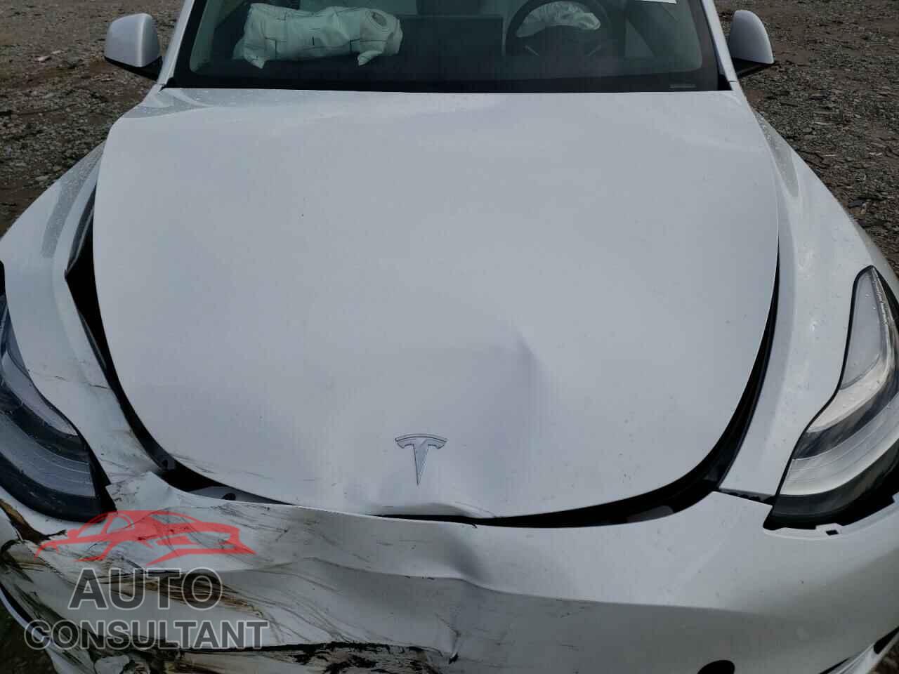 TESLA MODEL Y 2021 - 5YJYGAEE7MF293220