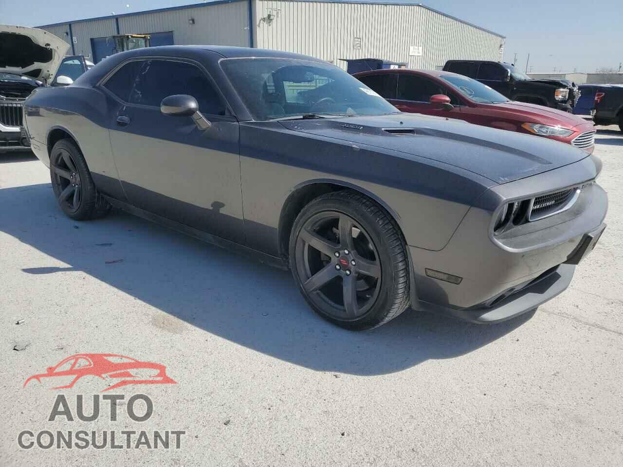 DODGE CHALLENGER 2013 - 2C3CDYBT5DH541882
