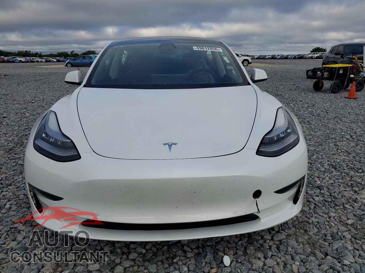 TESLA MODEL 3 2021 - 5YJ3E1EAXMF856760