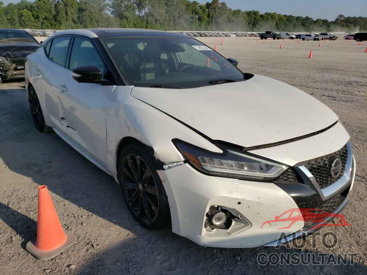 NISSAN MAXIMA 2019 - 1N4AA6AVXKC362827