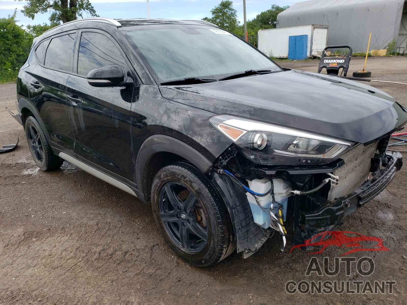 HYUNDAI TUCSON 2017 - KM8J33A49HU560582