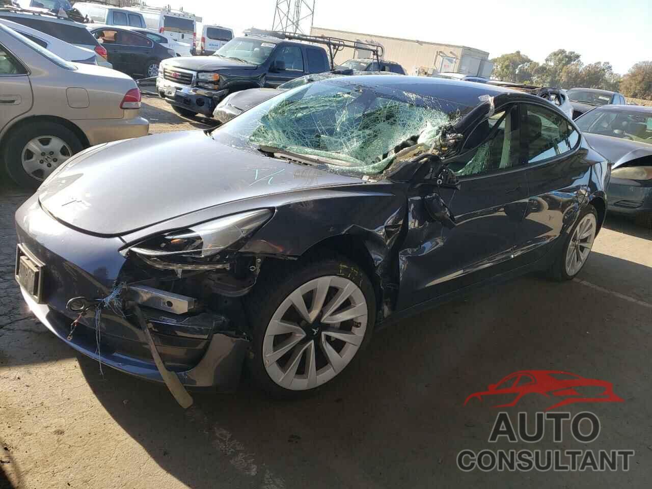 TESLA MODEL 3 2022 - 5YJ3E1EA0NF189585