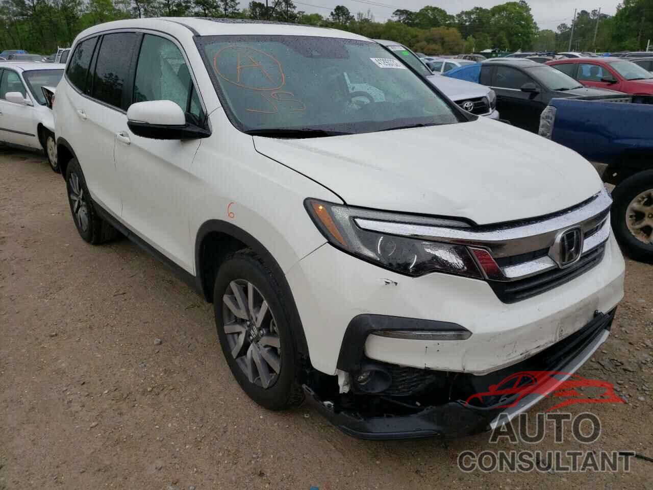 HONDA PILOT 2019 - 5FNYF5H53KB022531