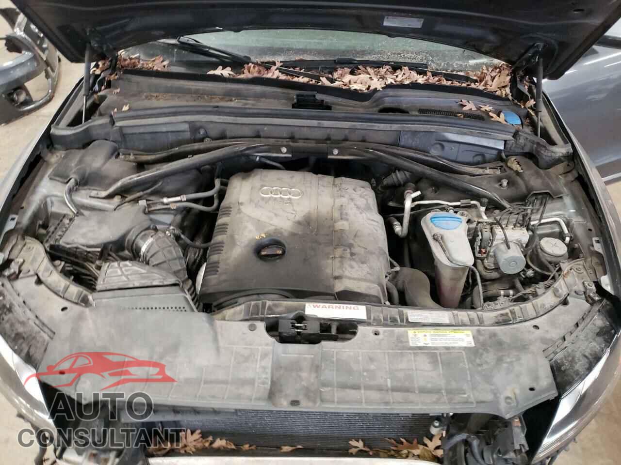 AUDI Q5 2012 - WA1CFAFP1CA015265