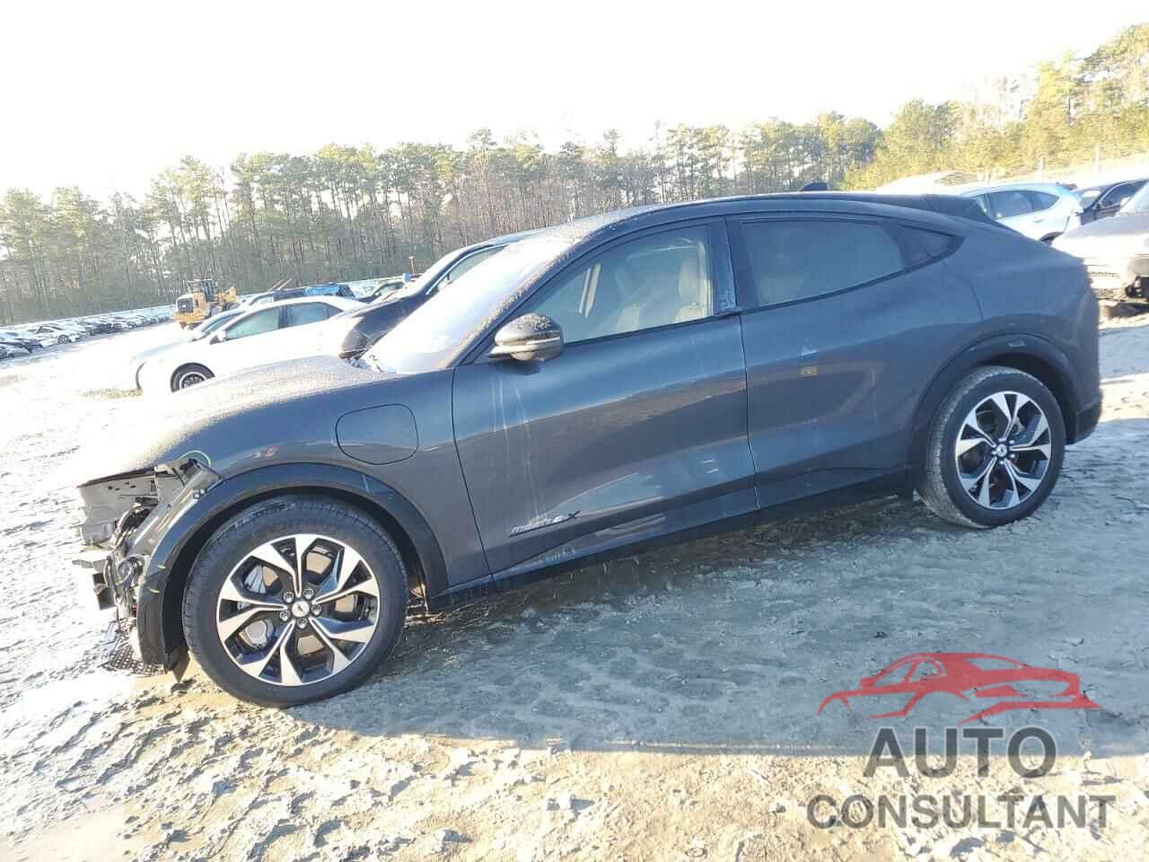 FORD MUSTANG 2021 - 3FMTK3R73MMA64217