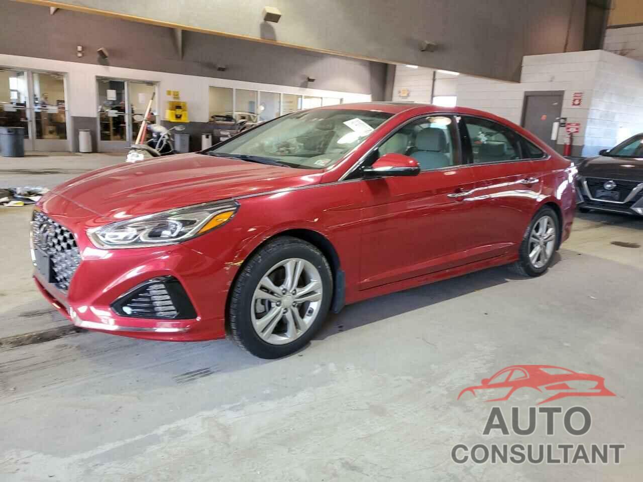 HYUNDAI SONATA 2019 - 5NPE34AF4KH804315