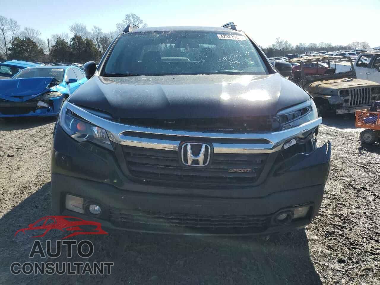 HONDA RIDGELINE 2019 - 5FPYK3F12KB044382