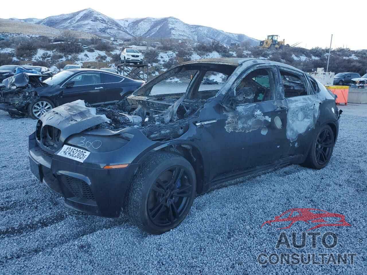 BMW X6 2013 - 5YMGZ0C50D0C40158
