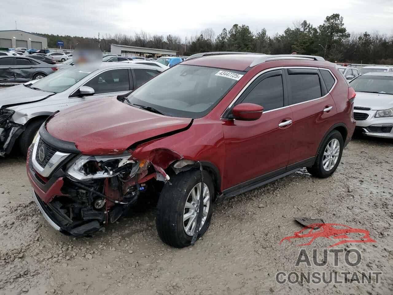 NISSAN ROGUE 2019 - 5N1AT2MT1KC768322