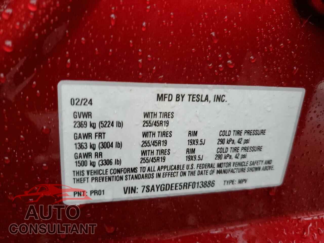 TESLA MODEL Y 2024 - 7SAYGDEE5RF013886