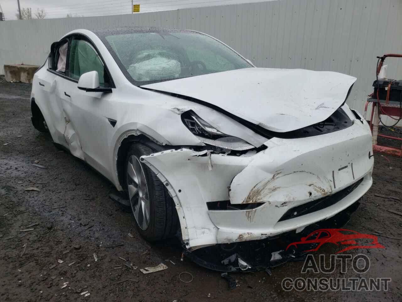 TESLA MODEL Y 2021 - 5YJYGDEE9MF185408
