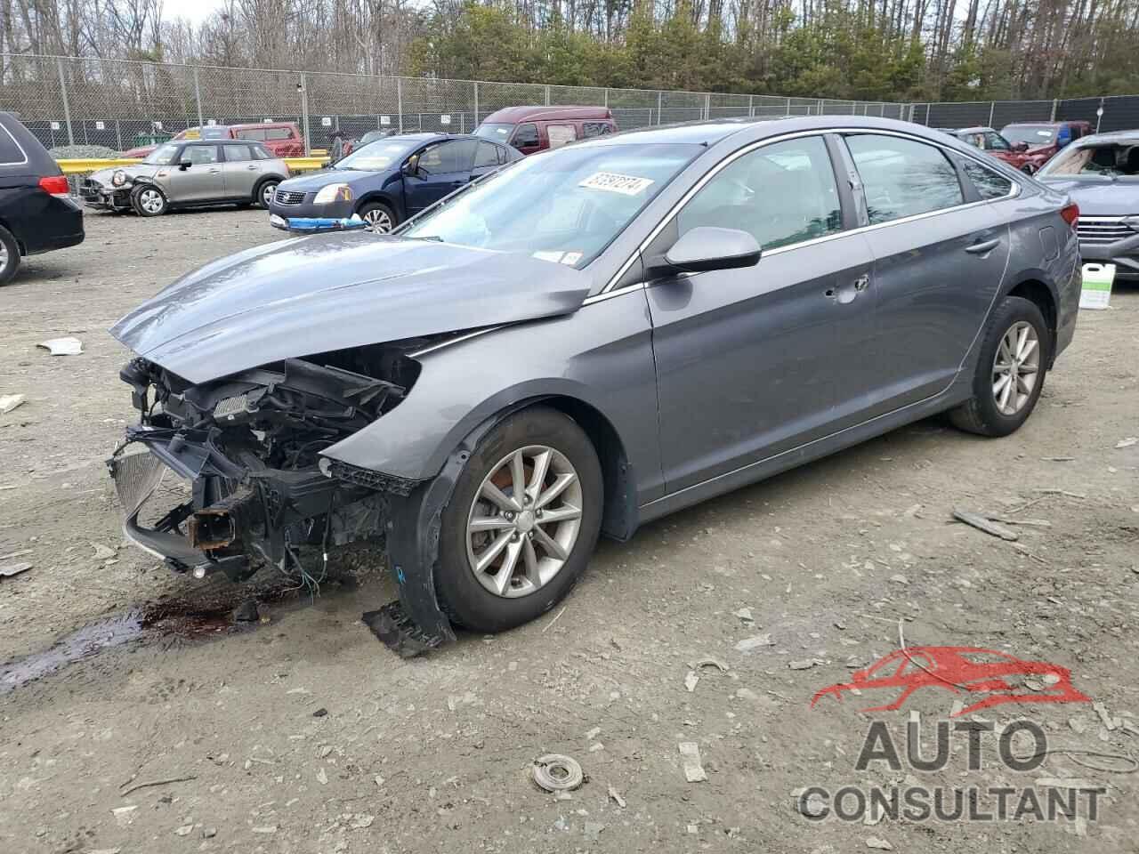 HYUNDAI SONATA 2019 - 5NPE24AF1KH742892
