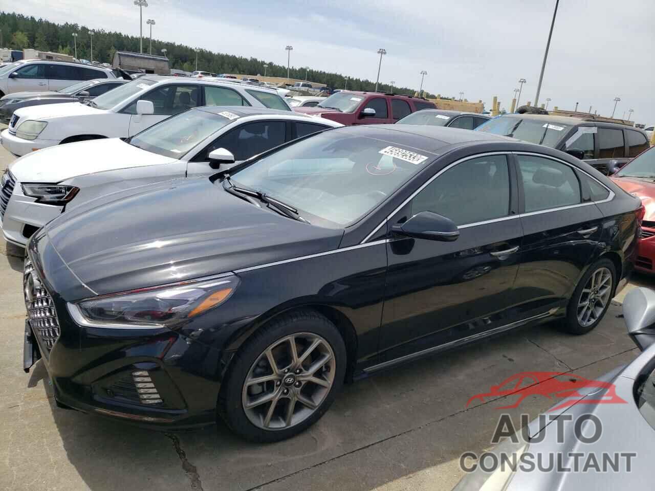 HYUNDAI SONATA 2019 - 5NPE34AB0KH744904