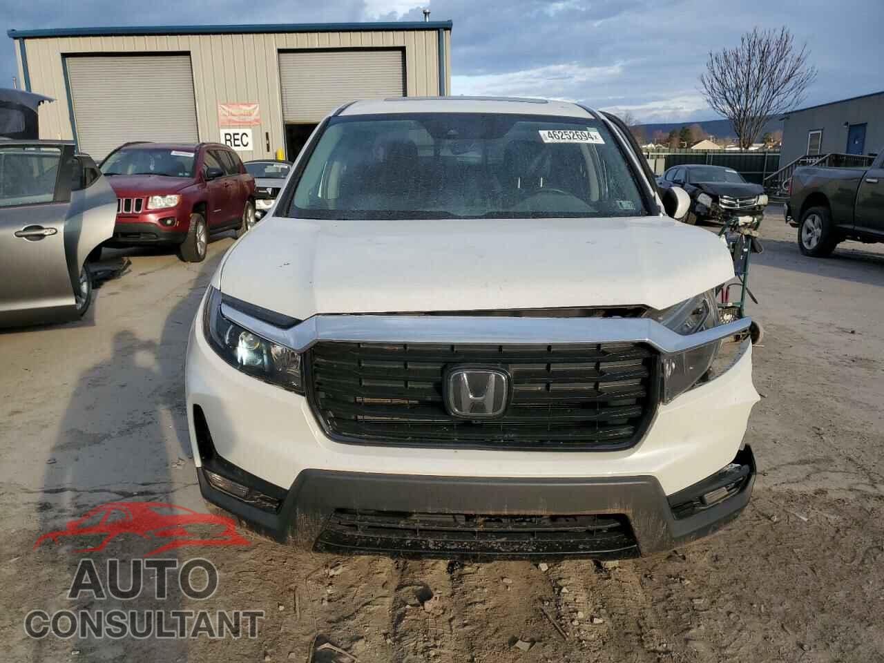HONDA RIDGELINE 2021 - 5FPYK3F7XMB005045