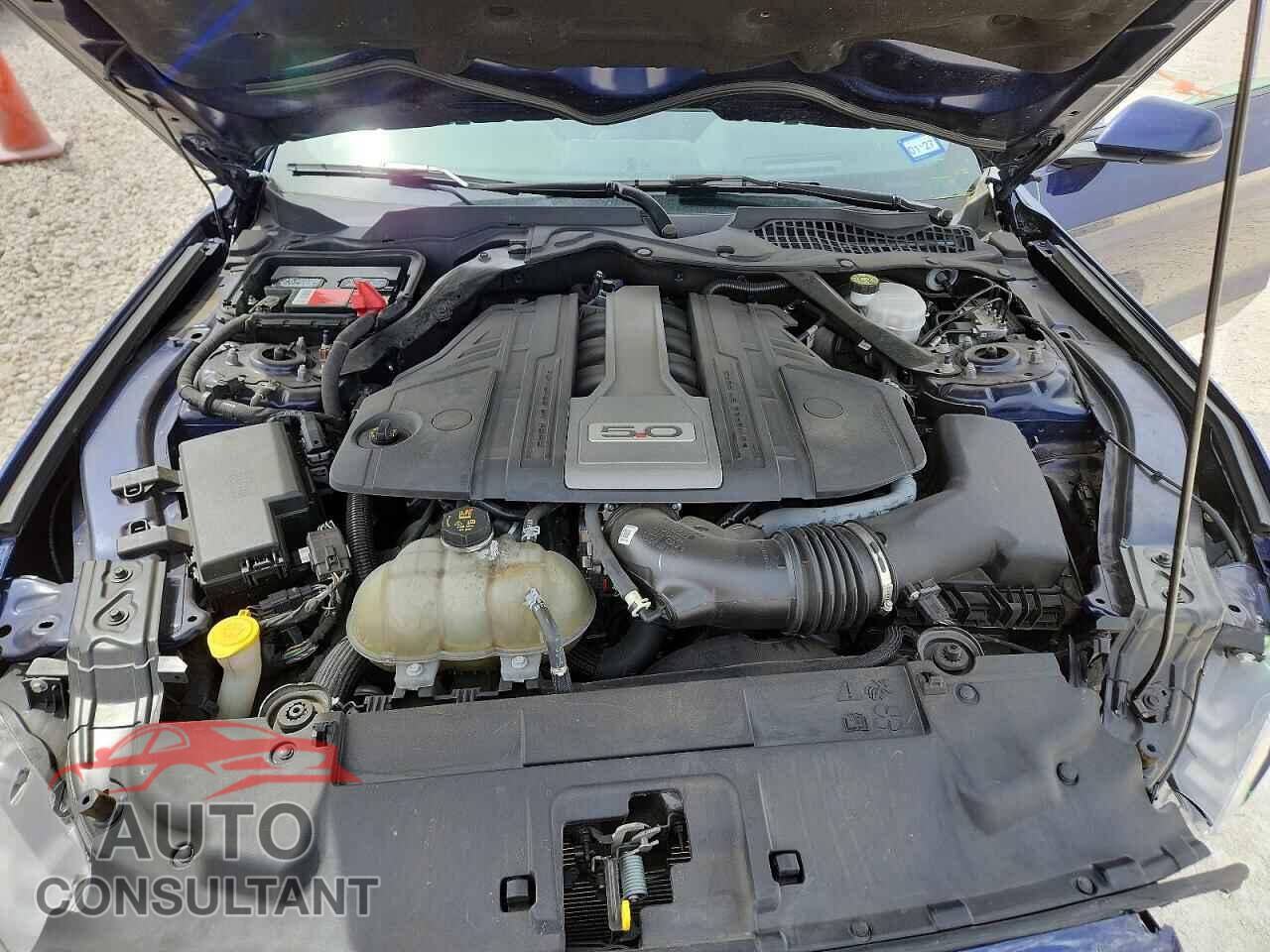 FORD MUSTANG 2019 - 1FA6P8CF6K5123589