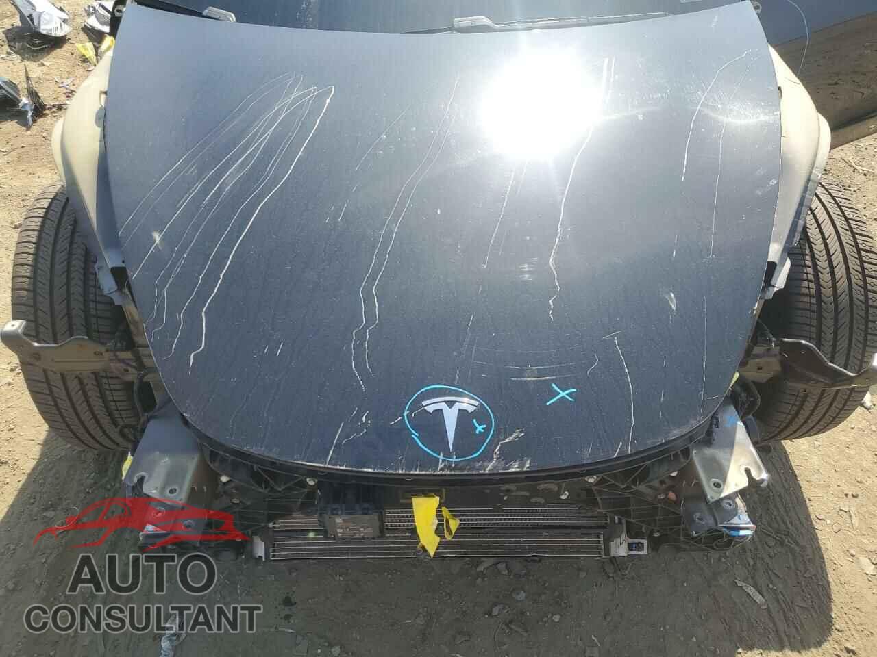 TESLA MODEL 3 2019 - 5YJ3E1EA1KF304741