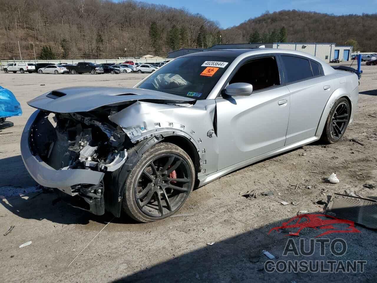 DODGE CHARGER 2021 - 2C3CDXL9XMH614791