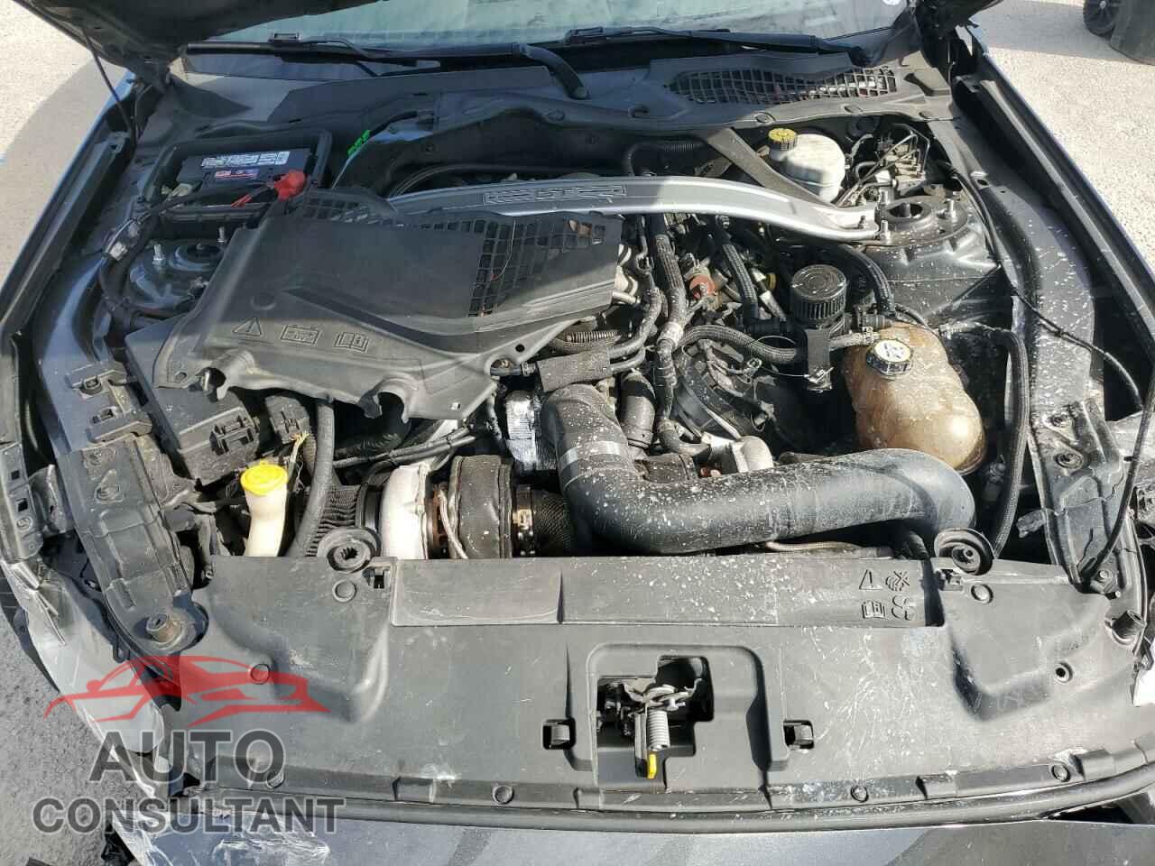FORD MUSTANG 2019 - 1FA6P8CF4K5184455