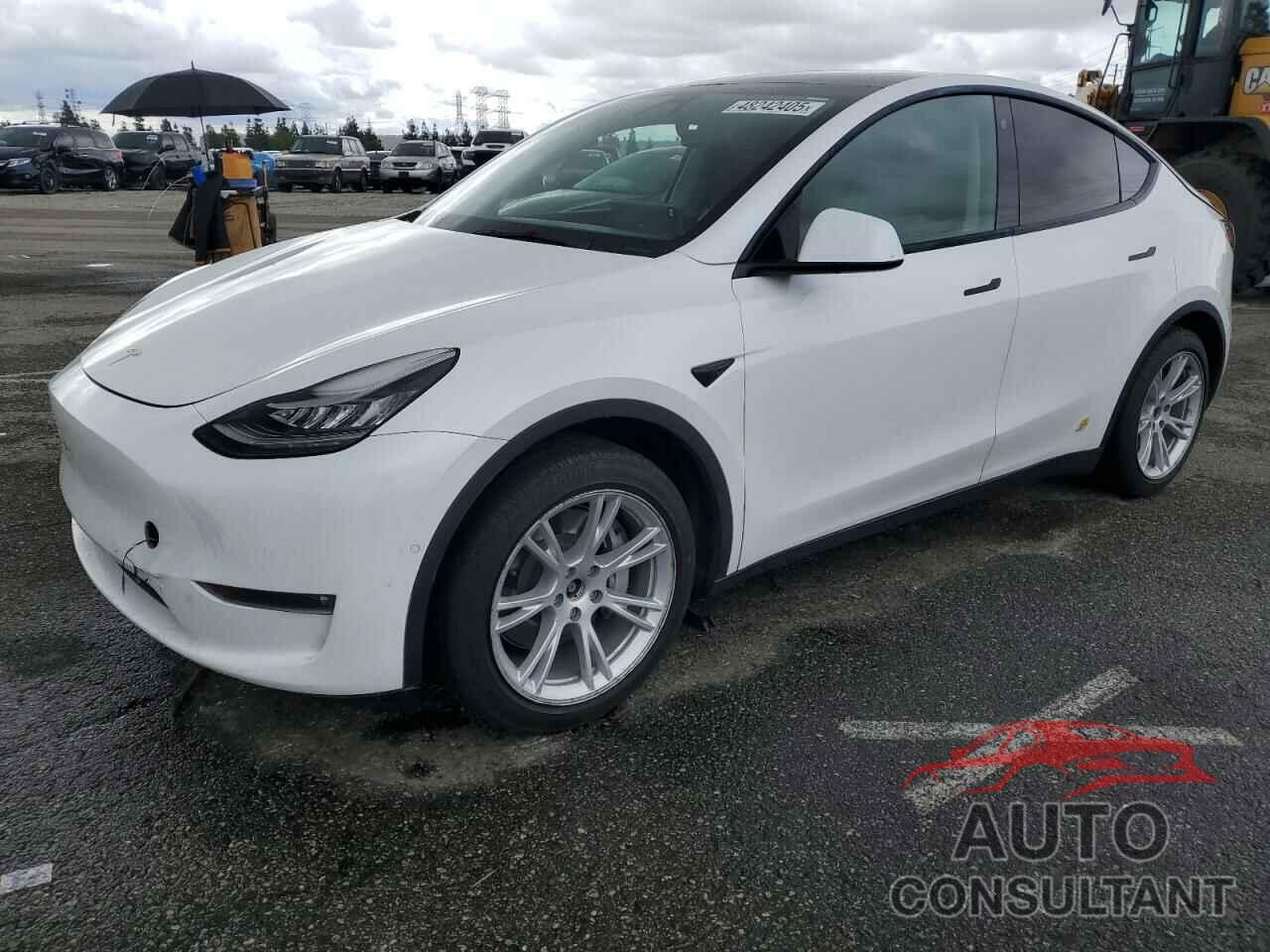 TESLA MODEL Y 2021 - 5YJYGDEE2MF303332