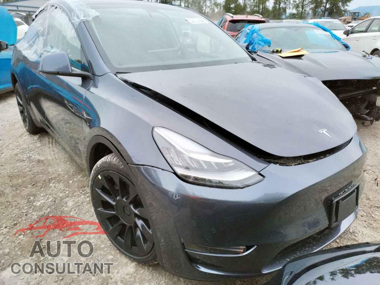 TESLA MODEL Y 2022 - 7SAYGDEE9NF386357