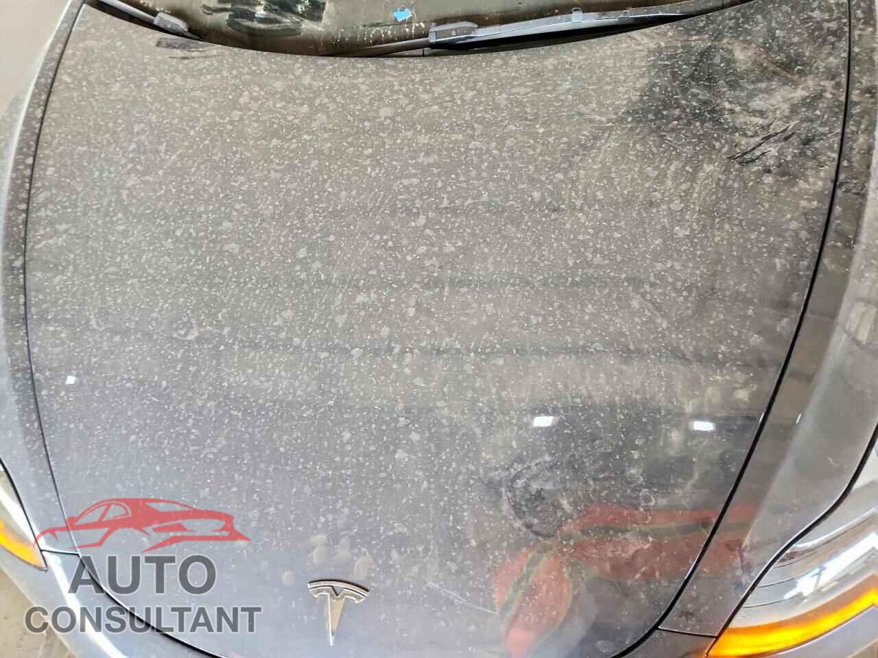 TESLA MODEL 3 2023 - 5YJ3E1EA3PF712648