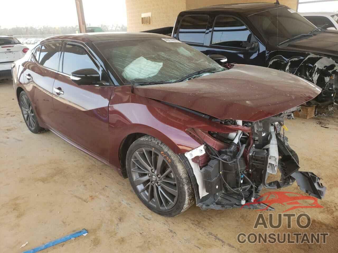 NISSAN MAXIMA 2019 - 1N4AA6AV8KC362213