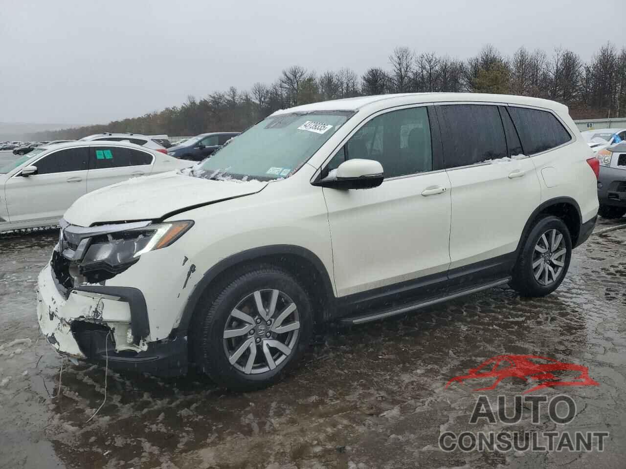 HONDA PILOT 2019 - 5FNYF6H48KB042321