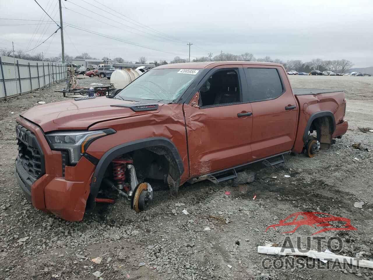 TOYOTA TUNDRA 2024 - 5TFPC5DB6RX076616