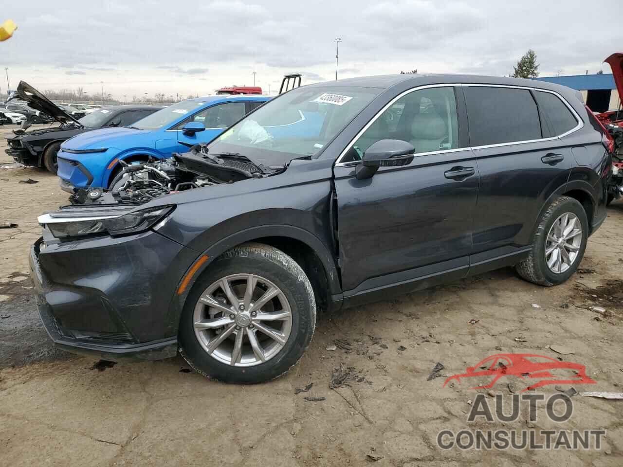 HONDA CRV 2024 - 2HKRS3H46RH322023