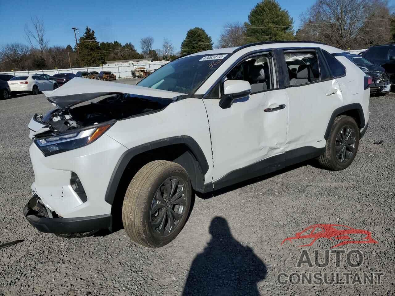 TOYOTA RAV4 2023 - 4T3B6RFV4PU130089