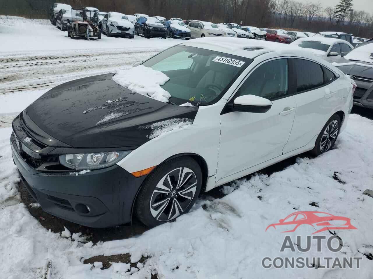 HONDA CIVIC 2016 - 19XFC1F3XGE208977
