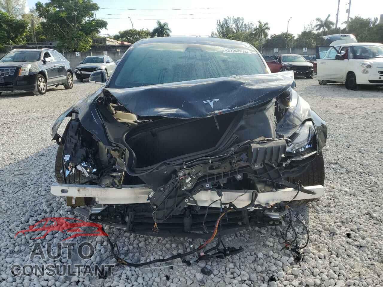 TESLA MODEL 3 2019 - 5YJ3E1EA2KF397382
