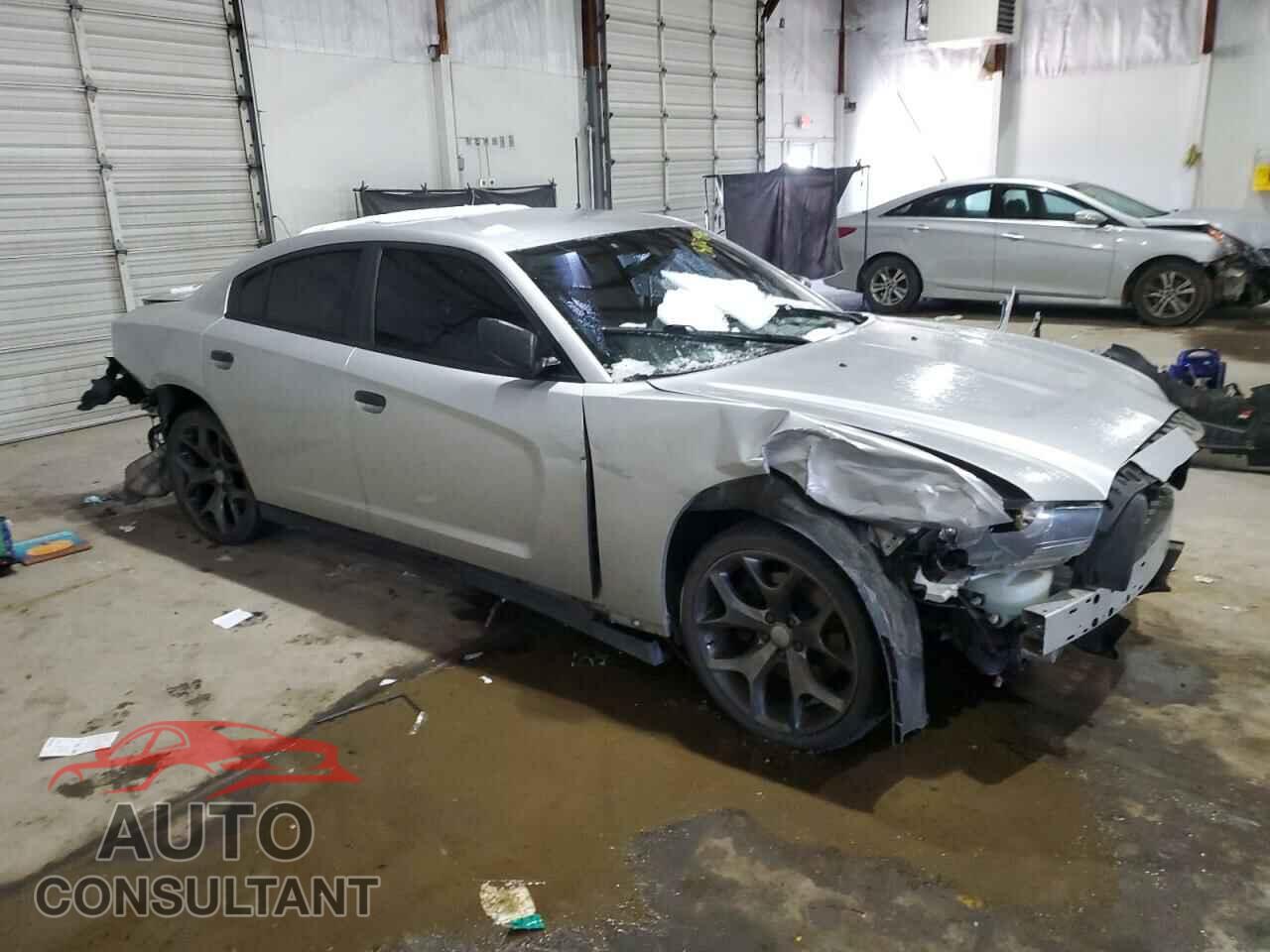 DODGE CHARGER 2014 - 2C3CDXAT1EH190868