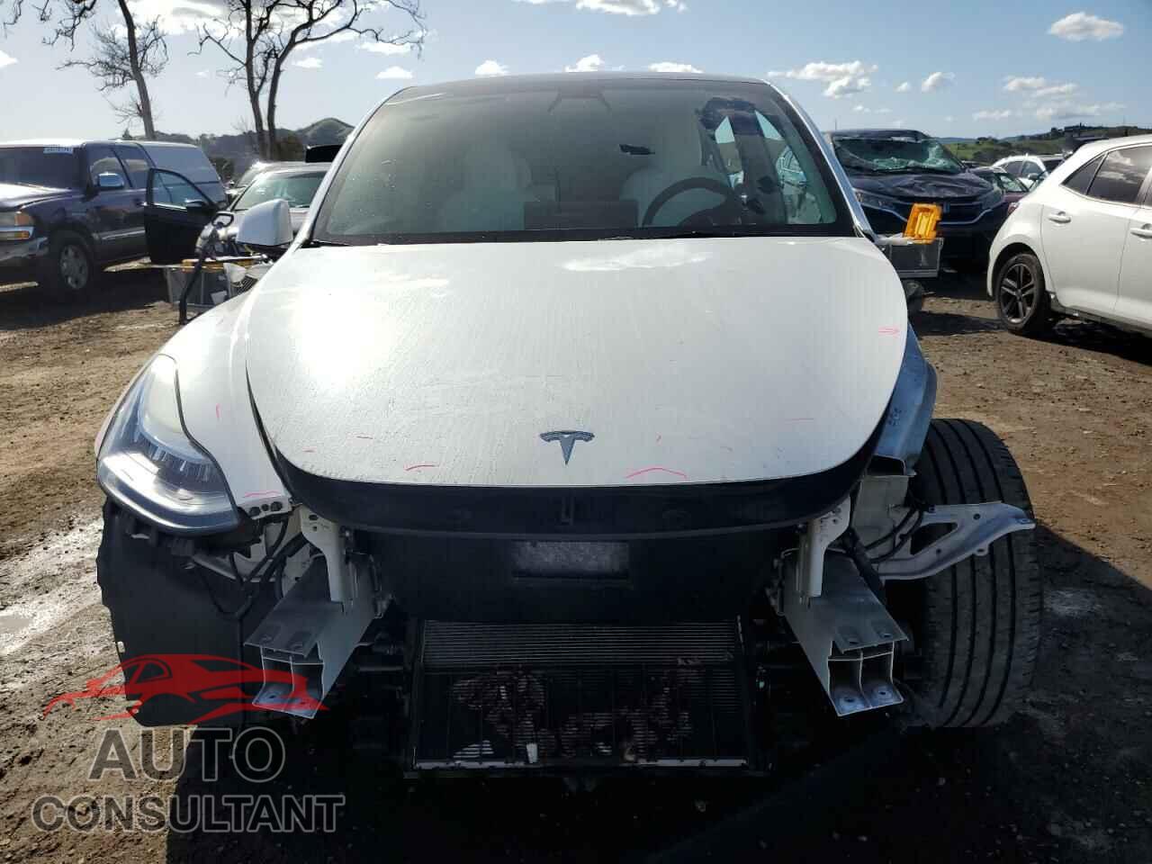 TESLA MODEL Y 2021 - 5YJYGDEE4MF212904